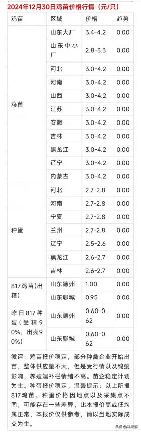 2025年1月3日 第8页